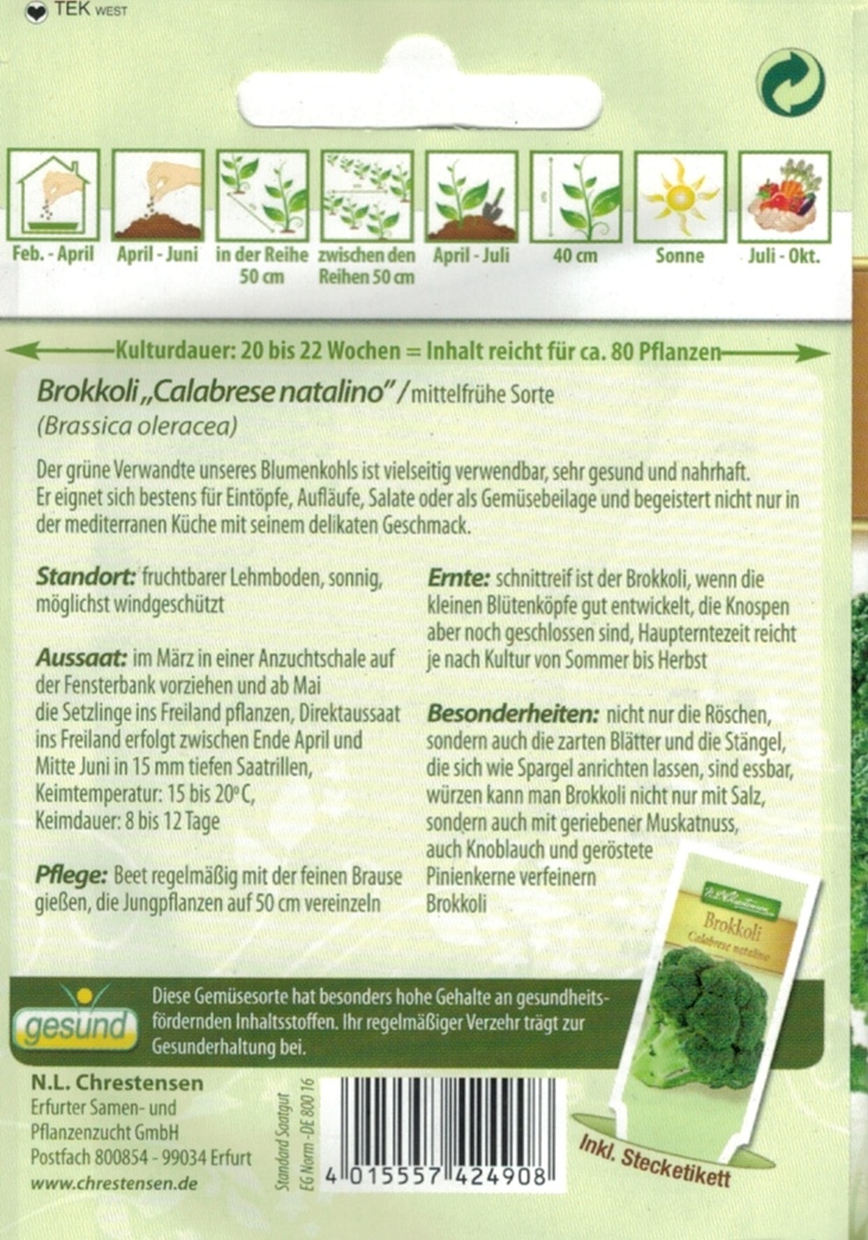 4010 Chrestensen Brokkoli 'Calabrese natalino' ca 80 Samen mittelfrüh